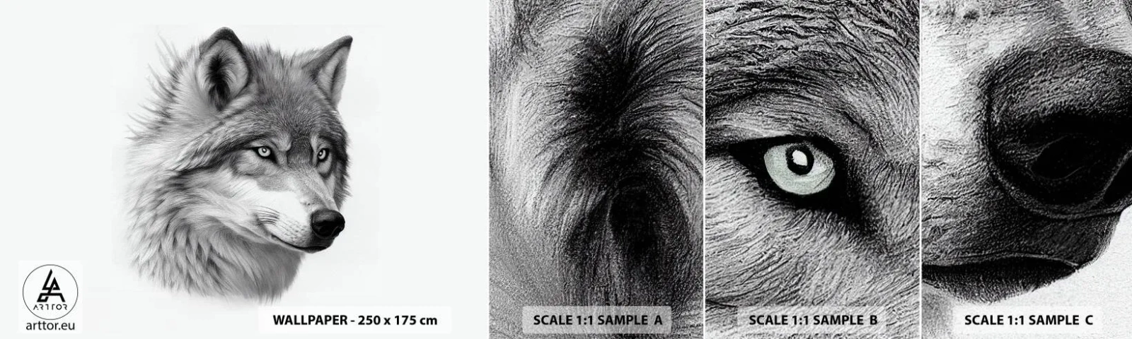 Fototapeta Próbka Standard Eco - Alfa – bez wątpienia - Wilk, Zwierzę, Skandynawski - 100x30 cm