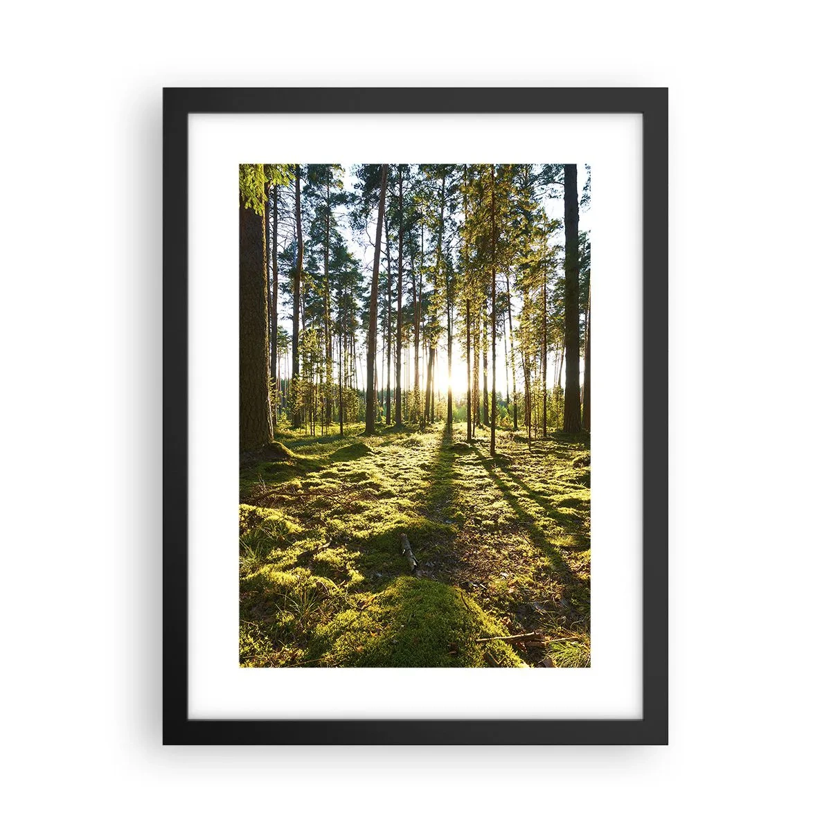 Plakat w czarnej ramie - …Za siedmioma lasami - 30x40 cm