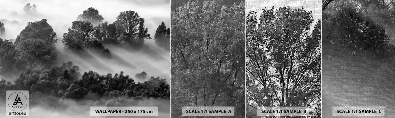 Fototapeta Próbka Premium Canvas - Wstający ze snu - Krajobraz, Las, Mgła - 100x30 cm