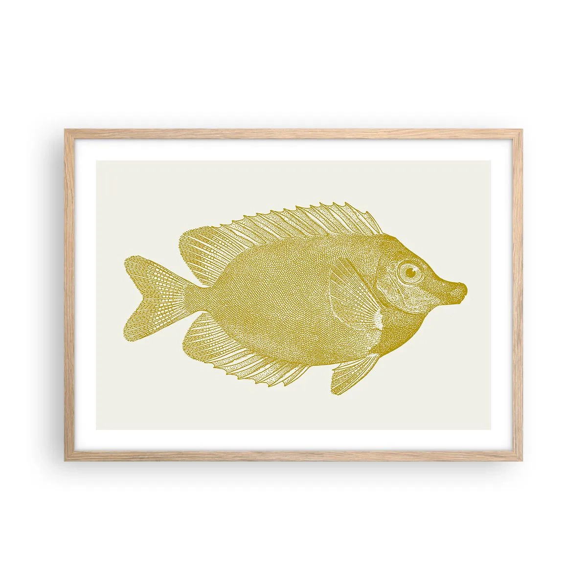 Plakat w ramie jasny dąb - Ryba i tyle - 70x50 cm