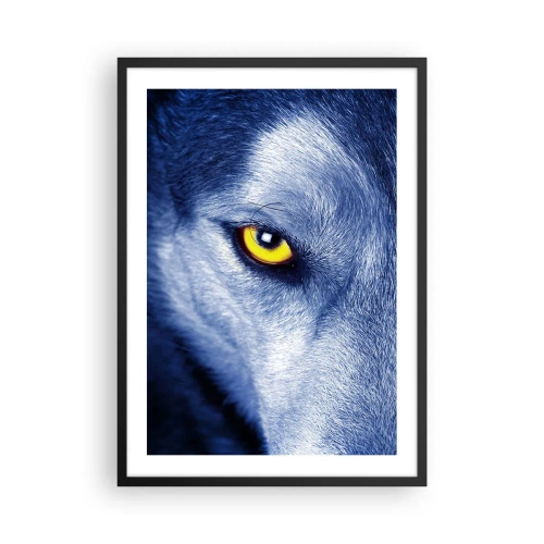 Plakat w czarnej ramie - Zbliżenie na żółte oko wilka w niebieskiej tonacji - 50x70cm - Hipnotyzujące spojrzenie - Nowoczesna dekoracja ścienna do salonu i sypialni ARTTOR