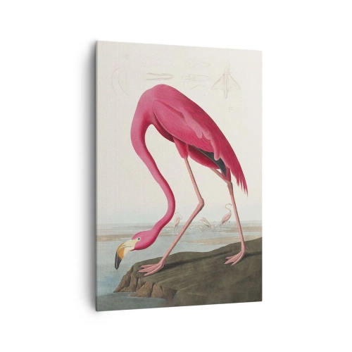 Obraz na płótnie - Różowy flaming stojący na skale z pochyloną głową - 70x100cm - Zadziwiające stworzenie - Nowoczesna dekoracja ścienna do salonu i sypialni ARTTOR