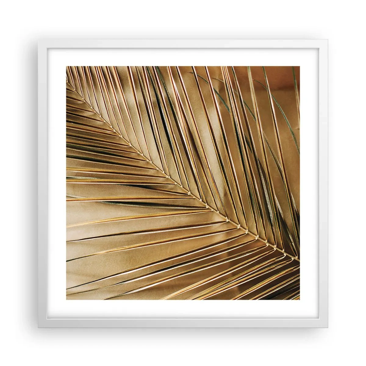 Plakat w białej ramie - Naturalna kolumnada - 50x50 cm