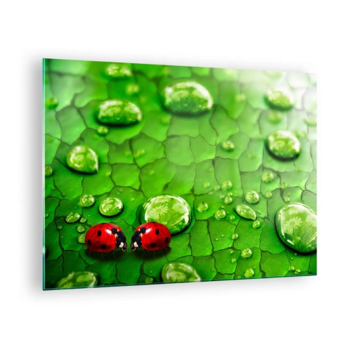 Obraz na szkle - Dwie biedronki na zielonym liściu z kroplami wody - 70x50cm - Spotkanie w zieleni - Nowoczesna dekoracja ścienna do salonu i sypialni ARTTOR