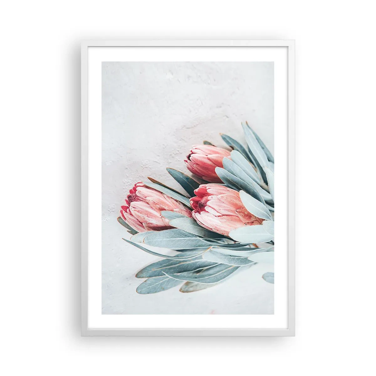 Plakat w białej ramie - Zawstydzone własną urodą - 50x70 cm