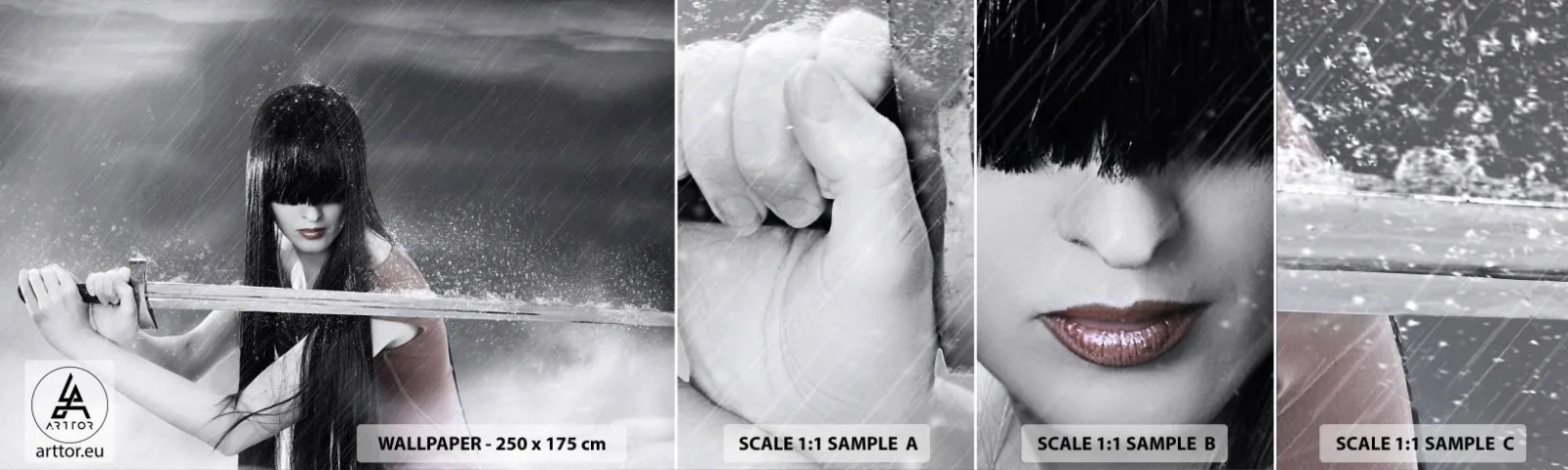 Fototapeta Próbka Standard Eco - Piękna i niebezpieczna - Kobieta, Miecz, Militaria - 100x30 cm