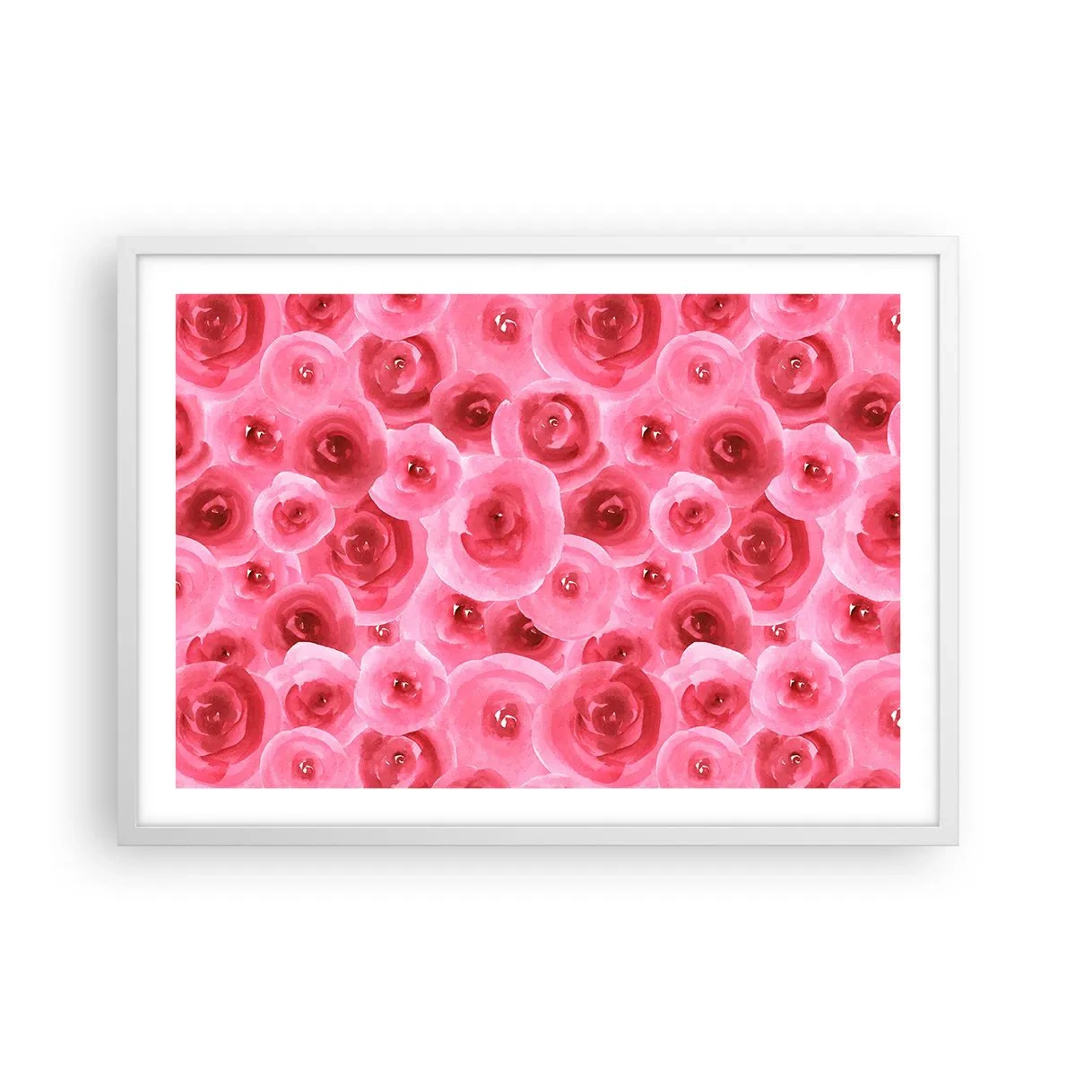 Plakat w białej ramie - Róże na dole i na górze - 70x50 cm