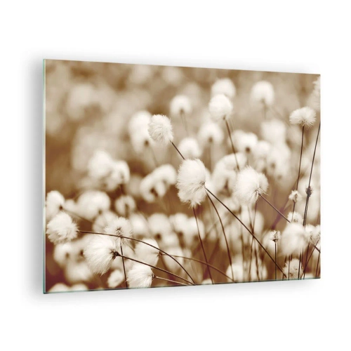 Obraz na szkle - Pole puszystych traw w odcieniach sepii - 70x50cm - Puszysty łan - Nowoczesna dekoracja ścienna do salonu i sypialni ARTTOR