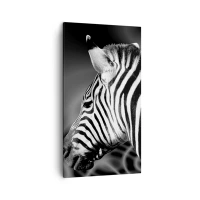45x80 cm | Pionowy