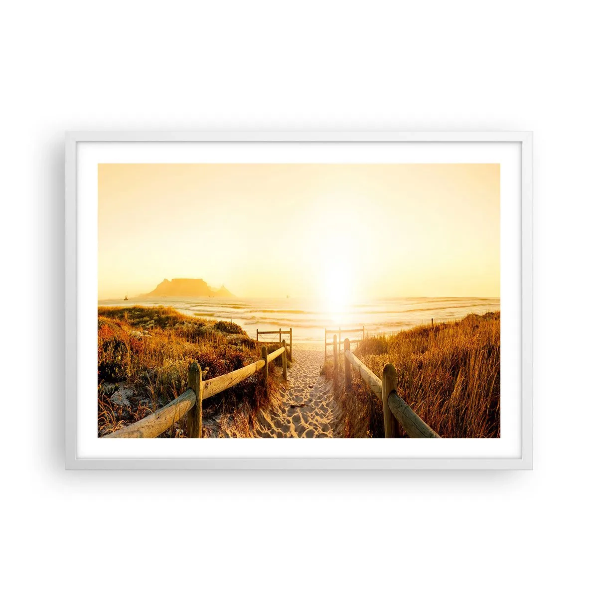 Plakat w białej ramie - Przez wydmę, w stronę słońca - 70x50 cm