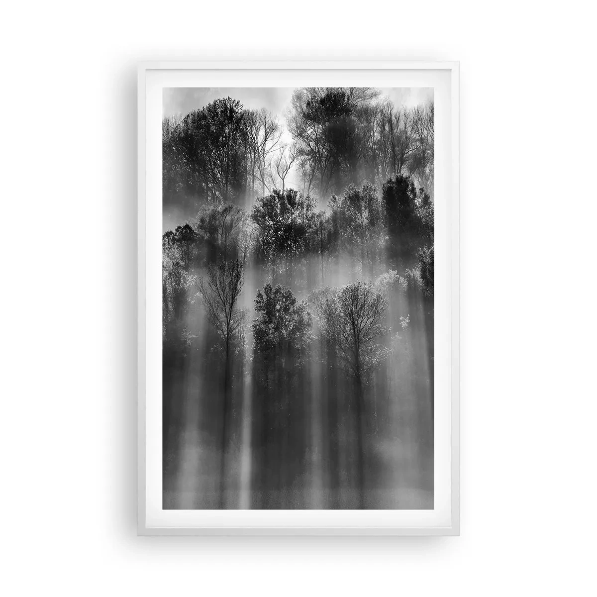 Plakat w białej ramie - W strumieniach światła - 61x91 cm