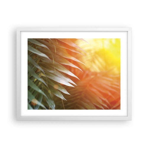 Plakat w białej ramie - Poranek w dżungli - 50x40 cm