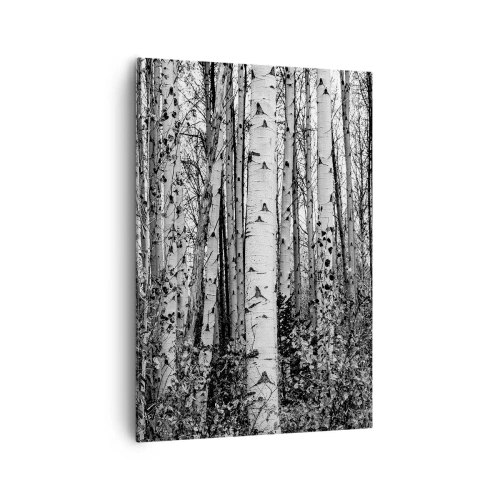 Obraz na płótnie - Czarno-białe brzozy w lesie - 70x100cm - Brzozowa kolumnada - Nowoczesna dekoracja ścienna do salonu i sypialni ARTTOR