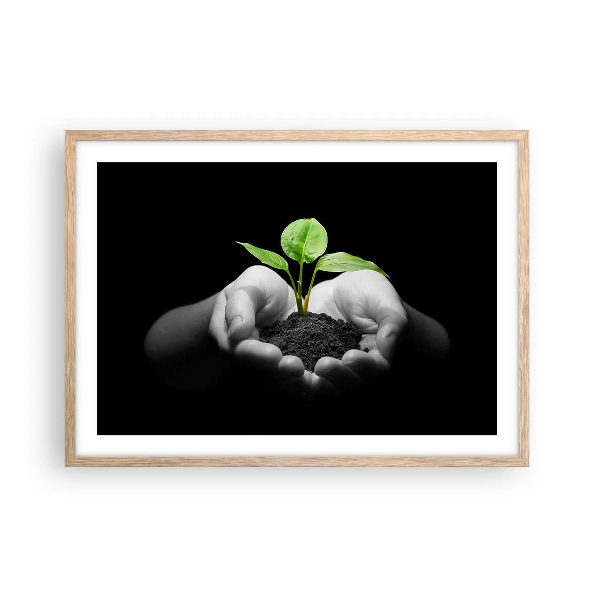 Plakat w ramie jasny dąb - Kocham naturę, chronię ją - 70x50 cm
