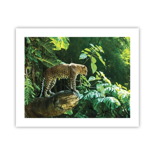 Plakat - Na łowy? - 50x40 cm