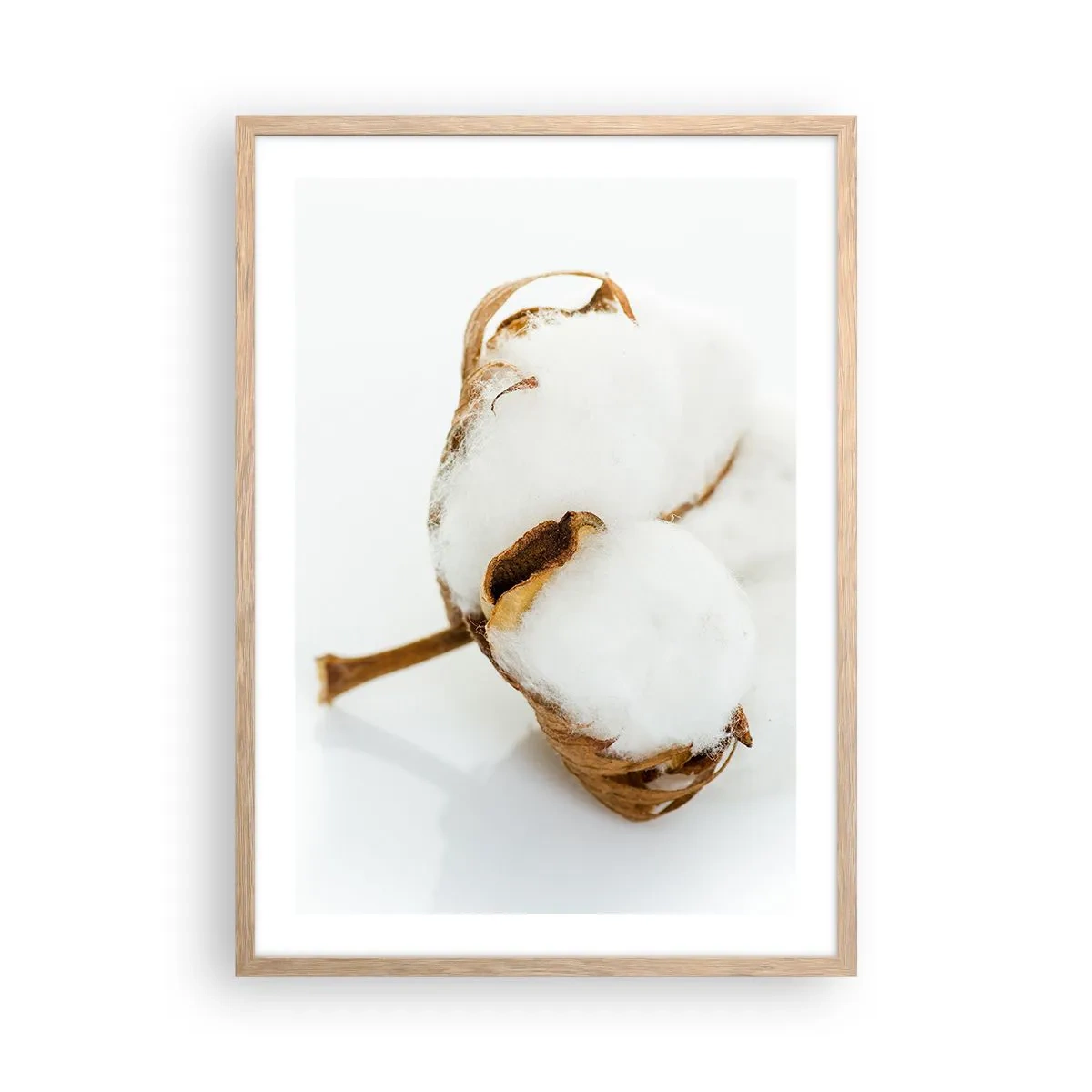 Plakat w ramie jasny dąb - Miękka z natury - 50x70 cm