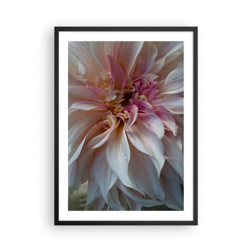 Plakat w czarnej ramie - Zbliżenie na delikatne płatki kwiatu w pastelowych barwach - 50x70cm - Kwitnąca świeżość - Nowoczesna dekoracja ścienna do salonu i sypialni ARTTOR