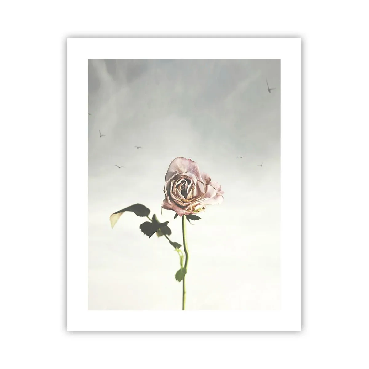 Plakat - Powitanie wiosny - 40x50 cm