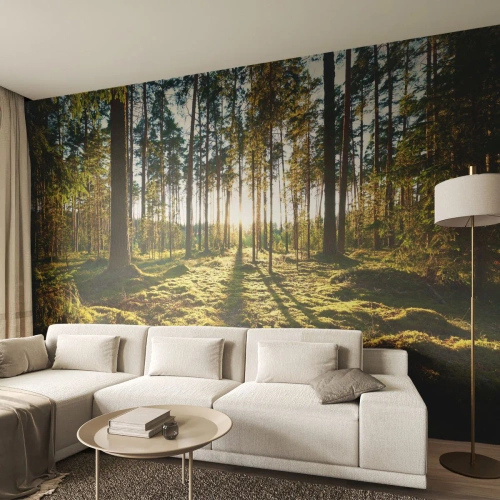 Fototapeta Premium Sand - Słoneczny las z zielonym mchem i długimi cieniami drzew - 100x70cm - …Za siedmioma lasami - Nowoczesna dekoracja ścienna do salonu, kuchni i sypialni ARTTOR