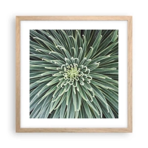 Plakat w ramie jasny dąb - Narodziny gwiazdy - 40x40 cm