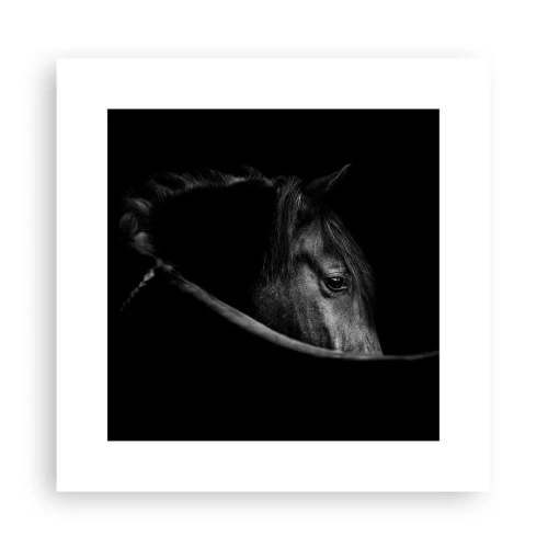 Plakat - Czarny książę - 30x30 cm