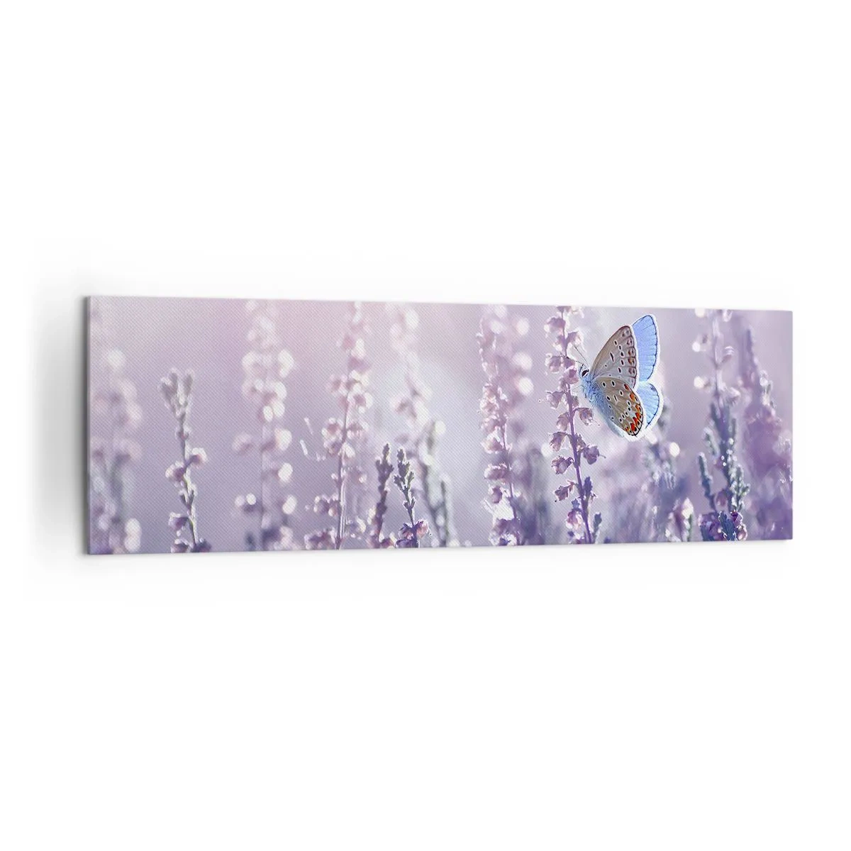 Obraz na płótnie - Motyl na kwitnącej lawendzie w świetle poranka - 160x50cm - Pocałunek motyla - Nowoczesna dekoracja ścienna do salonu i sypialni ARTTOR