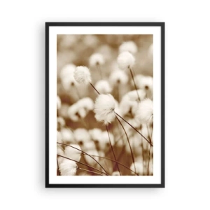 Plakat w czarnej ramie - Puszyste źdźbła traw w delikatnym ujęciu - 50x70cm - Puszysty łan - Nowoczesna dekoracja ścienna do salonu i sypialni ARTTOR