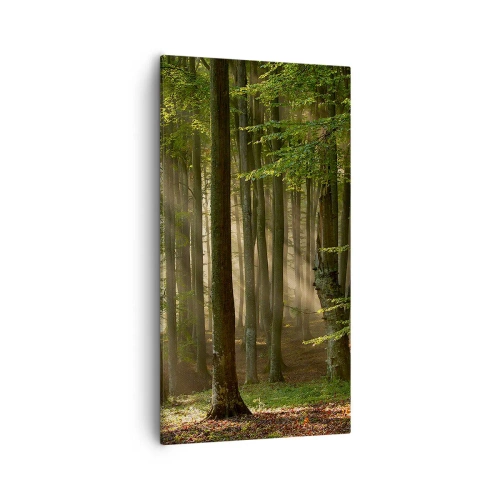 Obraz na płótnie - Rozpromieniony w wiosenny poranek - 55x100 cm