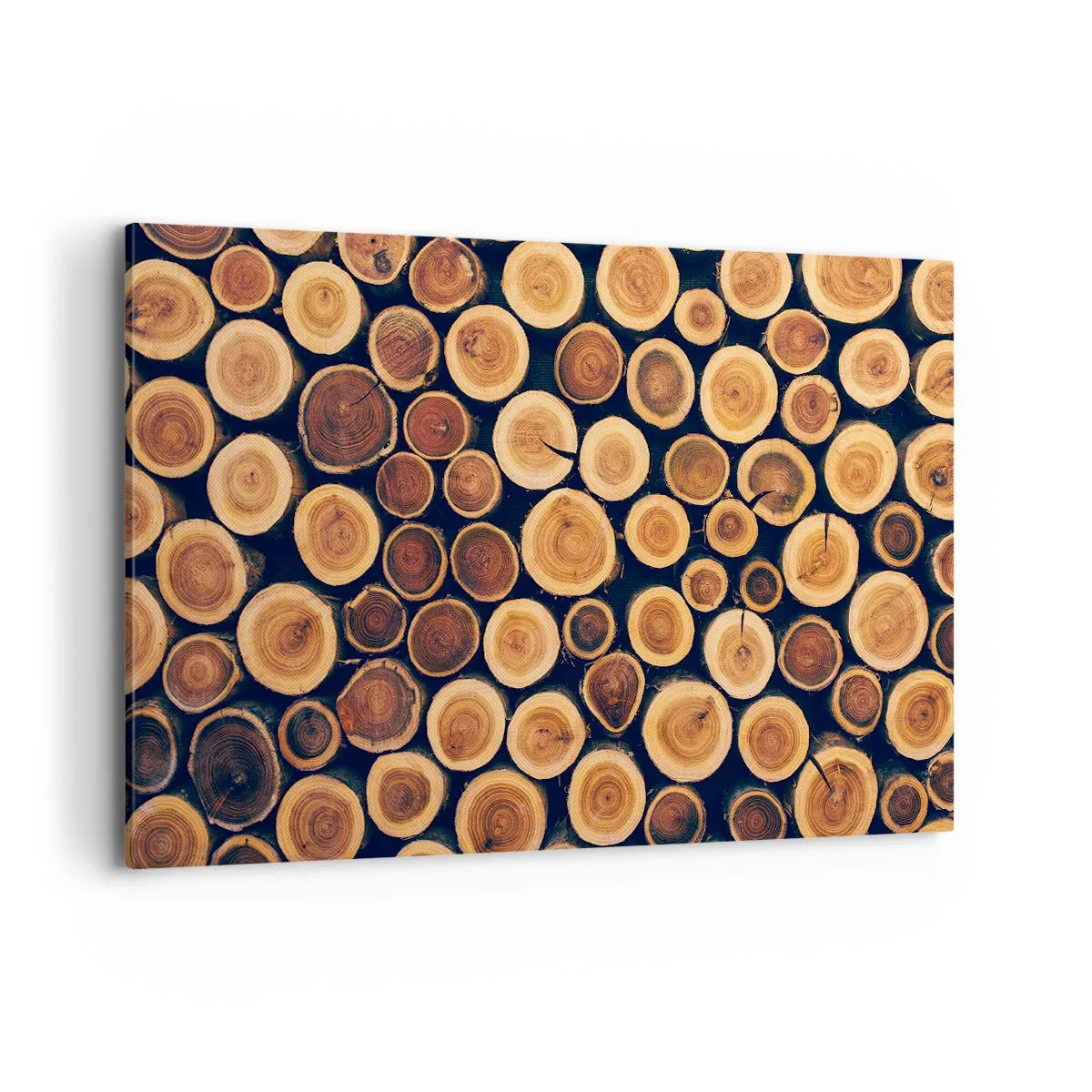 Obraz na płótnie - Wzór z przekrojów drewnianych kłód - 120x80cm - Na ile lat wyglądam? - Nowoczesna dekoracja ścienna do salonu, kuchni i sypialni ARTTOR