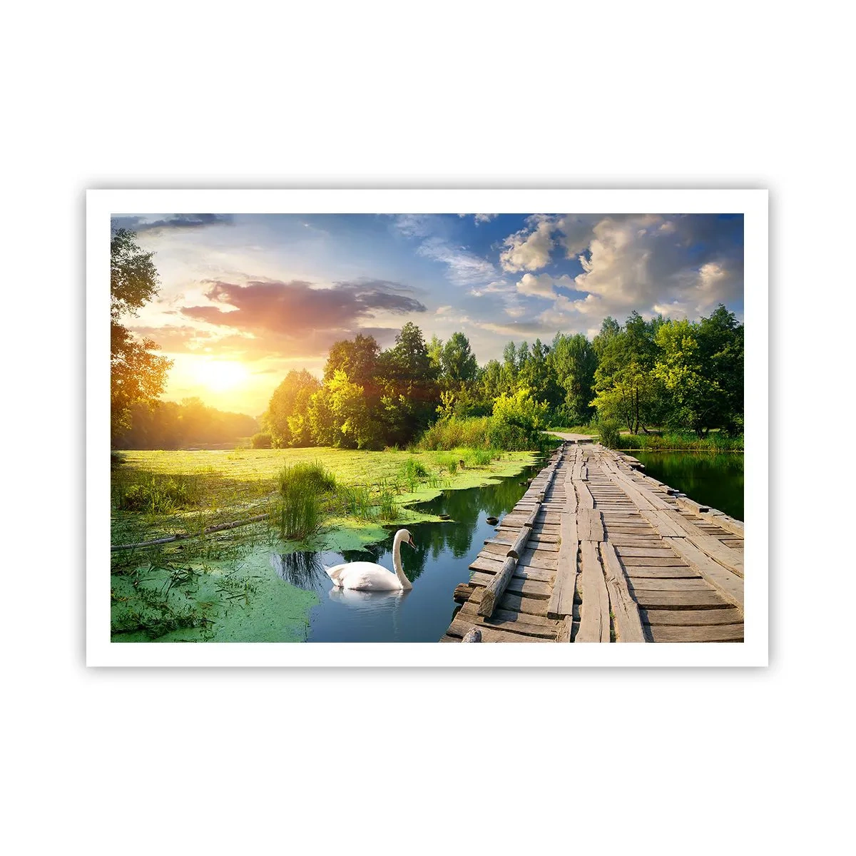 Plakat - Malowniczy krajobraz z mostkiem i łabędziem - 100x70cm - Lato, lato wszędzie - Nowoczesna dekoracja ścienna do salonu i sypialni ARTTOR