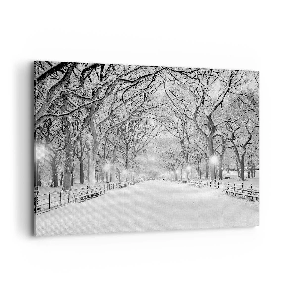 Obraz na płótnie - Zimowa alejka z drzewami pokrytymi śniegiem w monochromatycznym ujęciu - 100x70cm - Cztery pory roku – zima - Nowoczesna dekoracja ścienna do salonu, kuchni i sypialni ARTTOR