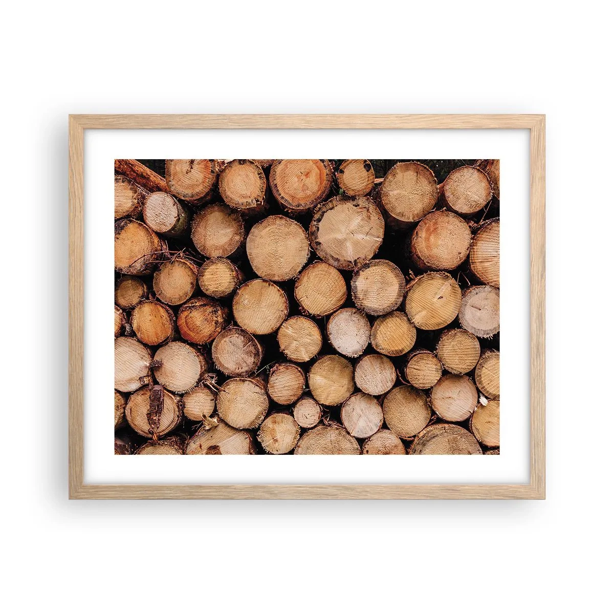 Plakat w ramie jasny dąb - Nowy początek - 50x40 cm