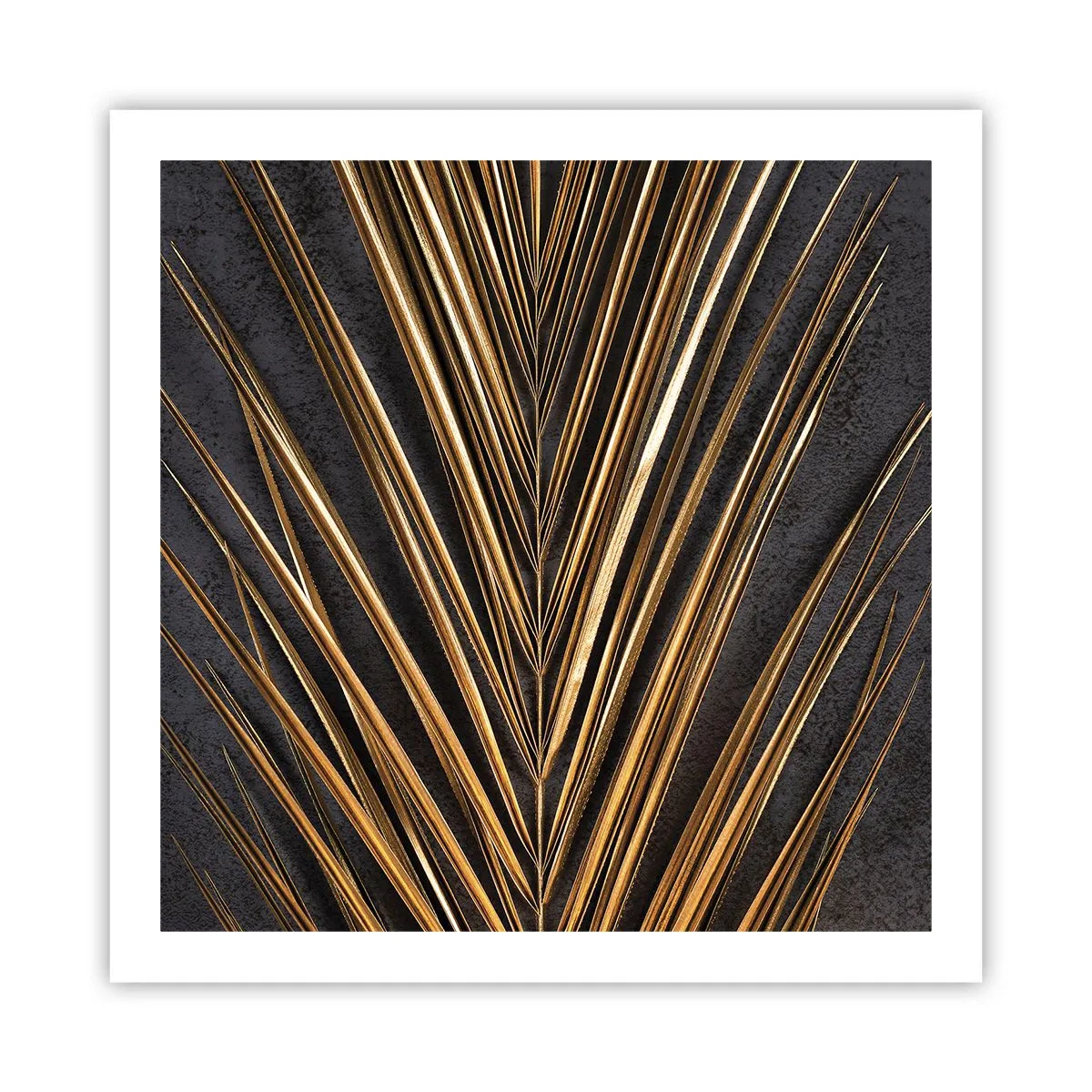Plakat - Złoto tropików - 60x60 cm