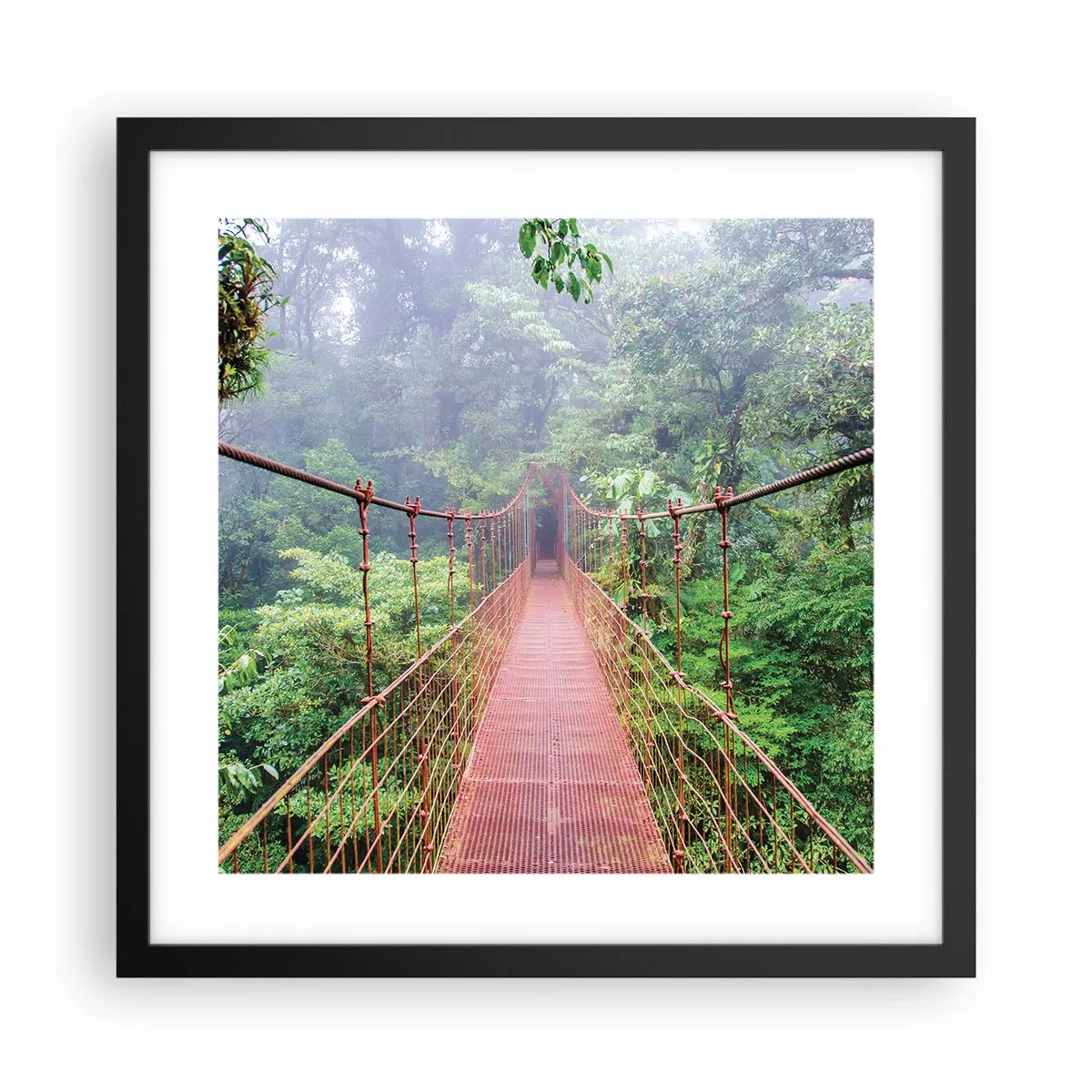 Plakat w czarnej ramie - Zawieszony nad koronami - 40x40 cm