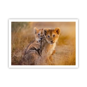Plakat - Urocze lwiątka w naturalnym otoczeniu - 100x70cm - Nie przeszkadzać! Bawimy się - Nowoczesna dekoracja ścienna do salonu i sypialni ARTTOR