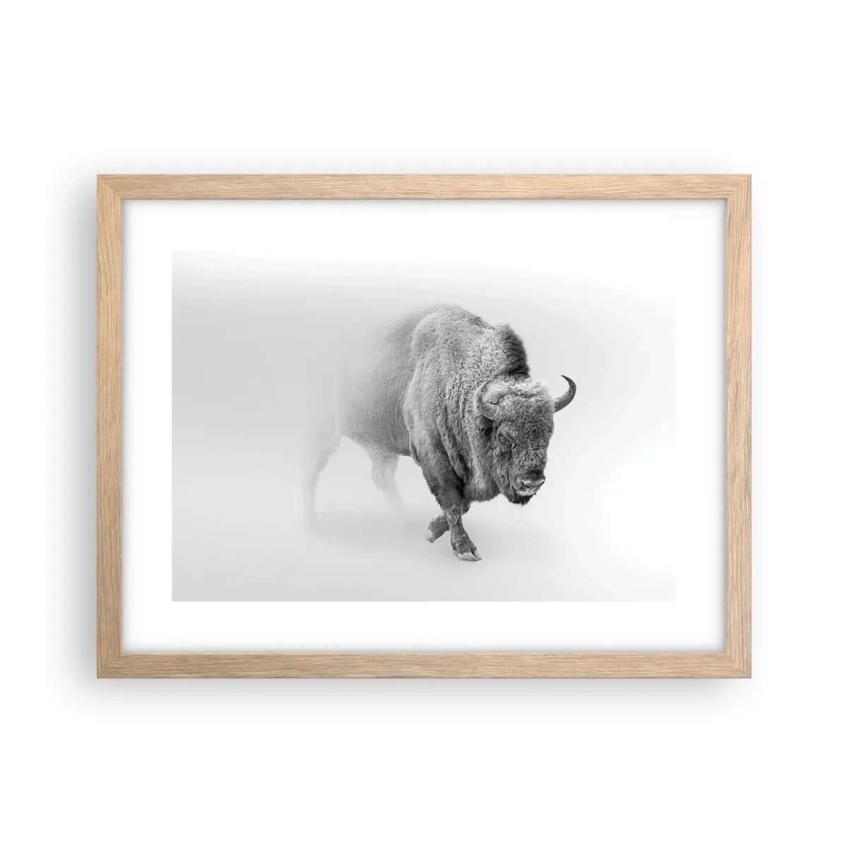 Plakat w ramie jasny dąb - Król prerii - 40x30 cm