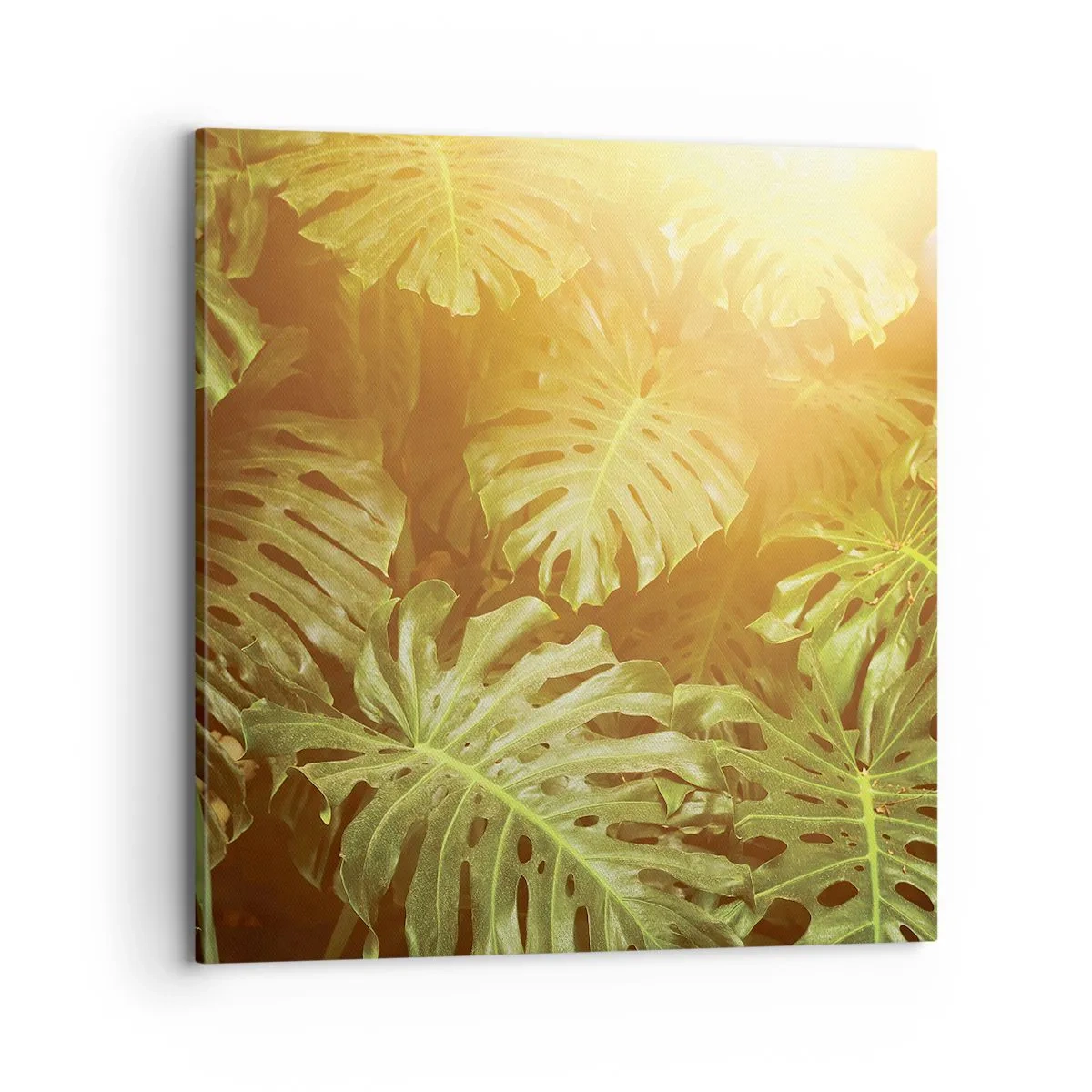 Obraz na płótnie - W zieloność wstąpić… - 70x70 cm