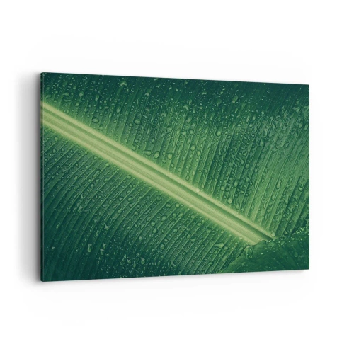 Obraz na płótnie - Zielony liść z kroplami wody na powierzchni - 120x80cm - Struktura zieleni - Nowoczesna dekoracja ścienna do salonu, kuchni i sypialni ARTTOR