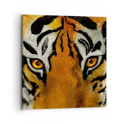 Obraz na płótnie - Groźny i piękny - 70x70 cm