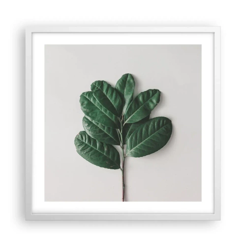 Plakat w białej ramie - Rysunek samej natury - 50x50 cm