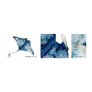 Fototapeta Próbka Standard Eco - Życie w błękicie - Płaszczka, Ryba, Nadmorski Styl - 100x30 cm