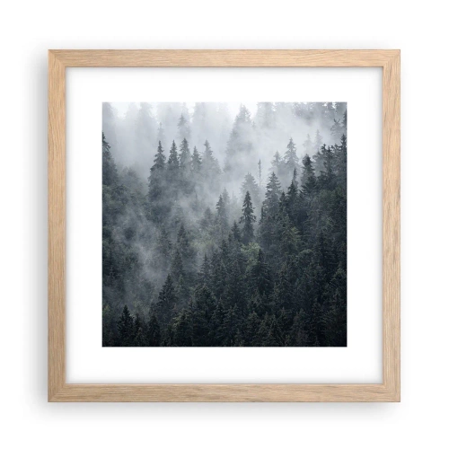 Plakat w ramie jasny dąb - Leśny świt - 30x30 cm
