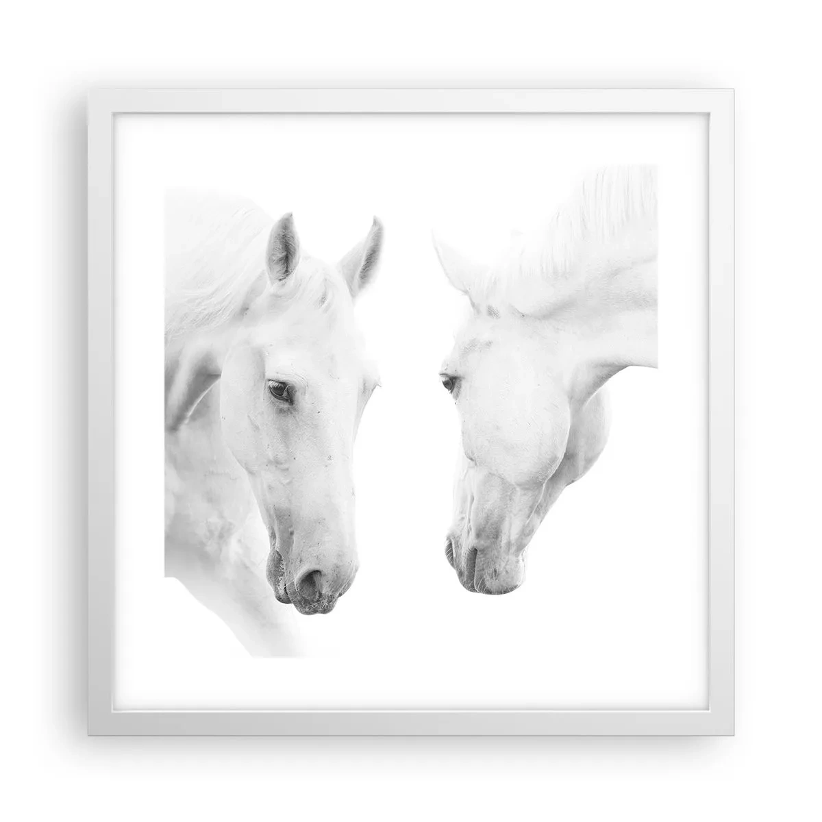 Plakat w białej ramie - Czy to jest przyjaźń…? - 40x40 cm