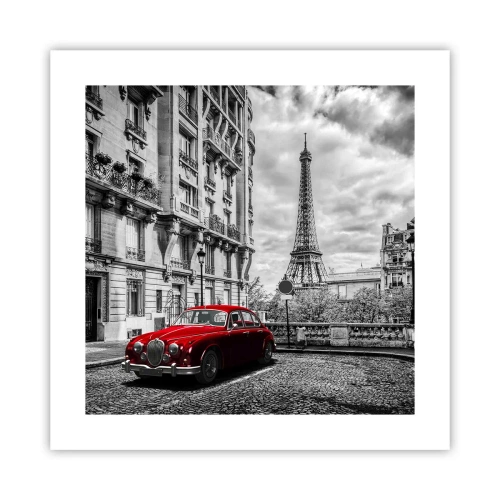 Plakat - Drapieżnik w mieście - 40x40 cm