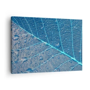 Obraz na płótnie - Liść w błękitnych odcieniach z kroplami wody - 70x50cm - Życie w błękicie - Nowoczesna dekoracja ścienna do salonu i sypialni ARTTOR