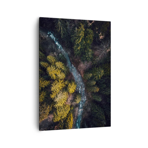 Obraz na płótnie - Widok z lotu ptaka na las z rzeką przecinającą krajobraz - 50x70cm - Szybko, coraz szybciej - Nowoczesna dekoracja ścienna do salonu, kuchni i sypialni ARTTOR