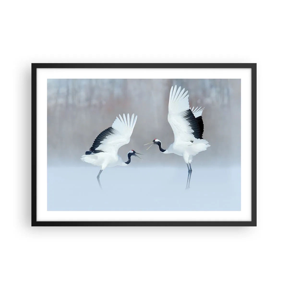 Plakat w czarnej ramie - Dwa żurawie tańczące w mglistej scenerii - 70x50cm - Taniec we mgle - Nowoczesna dekoracja ścienna do salonu i sypialni ARTTOR