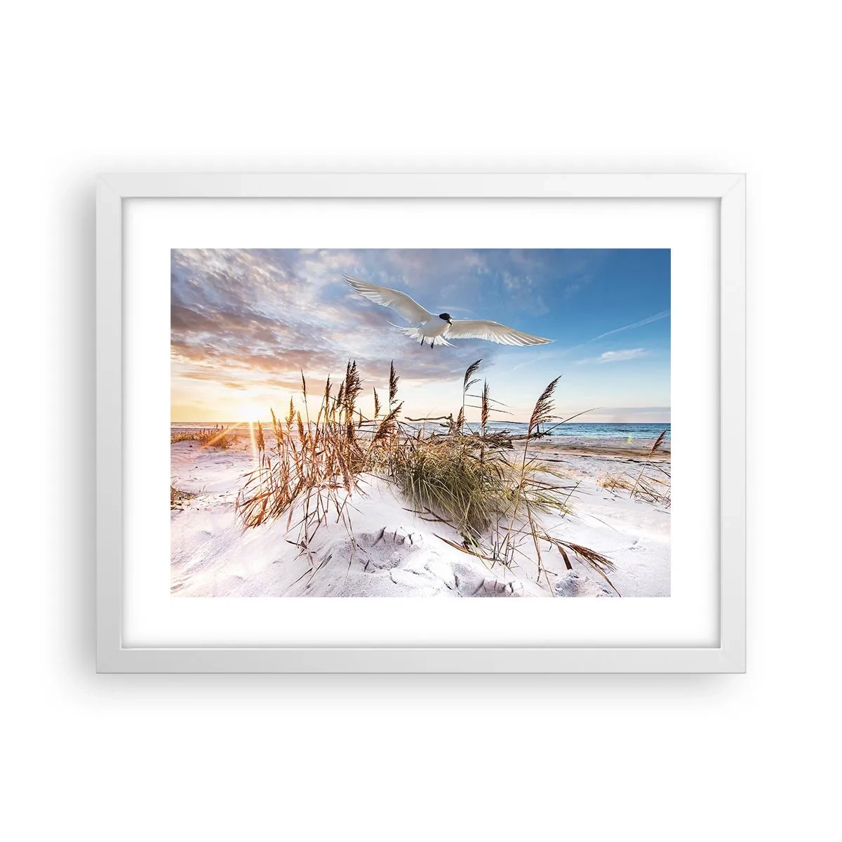 Plakat w białej ramie - Wiatr od morza - 40x30 cm