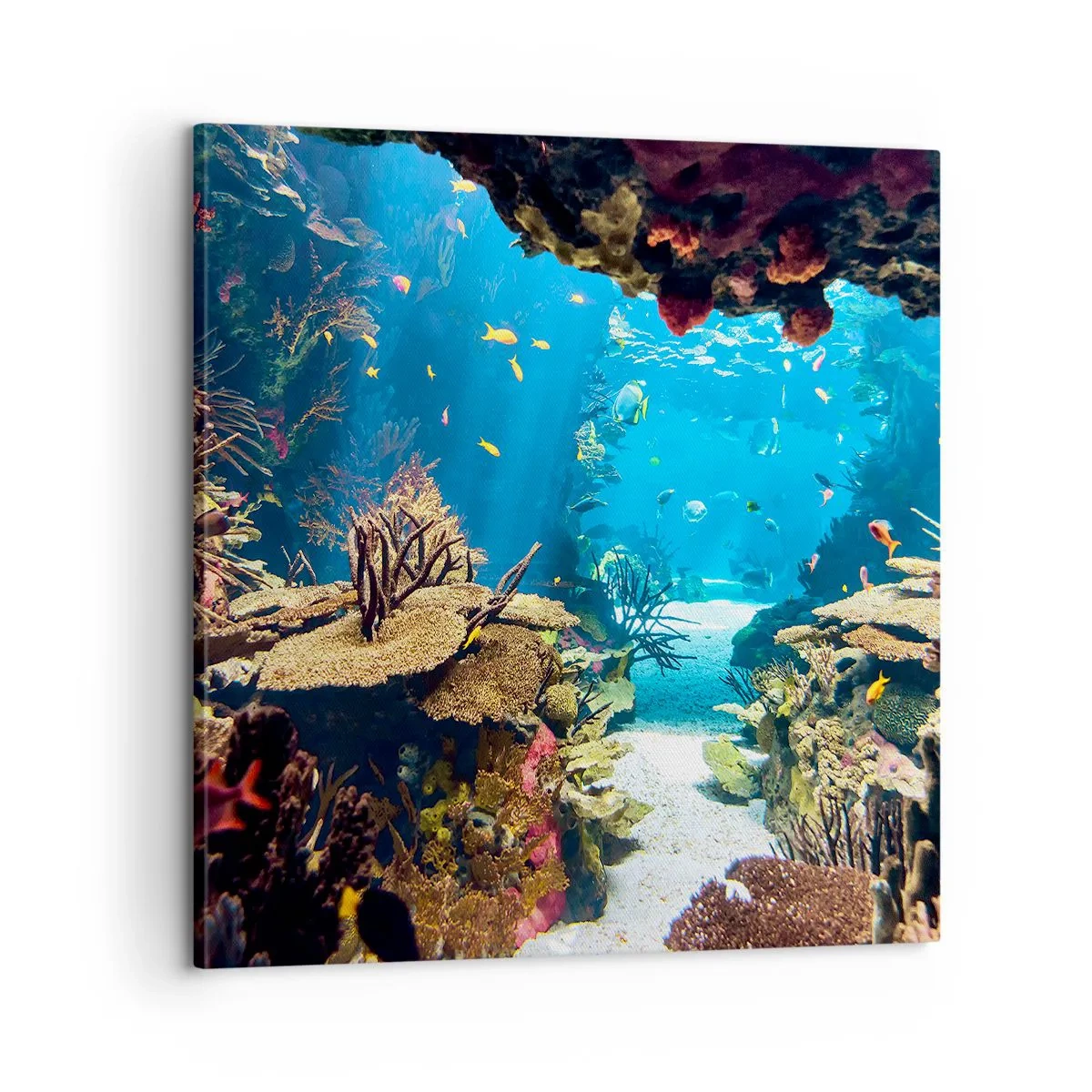 Obraz na płótnie - Nawet ci się nie śniło - 60x60 cm