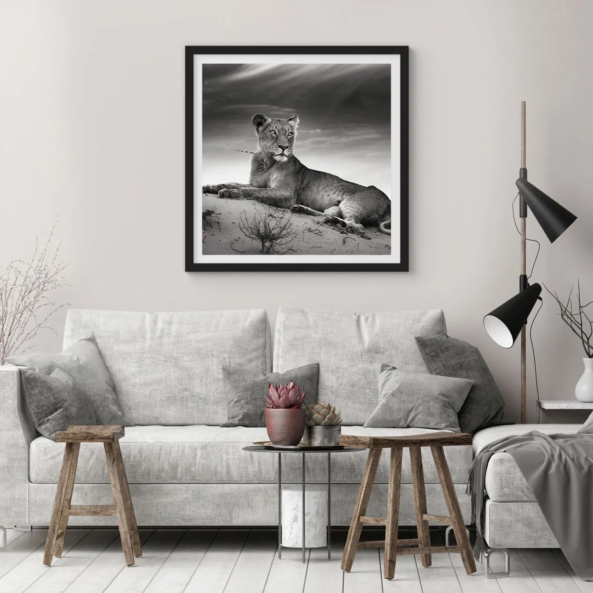 Plakat w czarnej ramie - Odpoczynek królowej pustyni - 40x40 cm